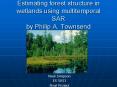 Estimating forest structure in wetlands using multitemporal SAR by Philip A. Townsend PowerPoint PPT Presentation