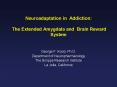 Neuroadaptation in Addiction: The Extended Amygdala and Brain Reward System PowerPoint PPT Presentation