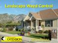 Landscape Weed Control PowerPoint PPT Presentation