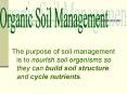 The purpose of soil management is to nourish soil organisms so they can build soil structure and cyc PowerPoint PPT Presentation
