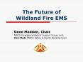 The Future of Wildland Fire EMS PowerPoint PPT Presentation
