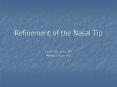 Refinement of the Nasal Tip PowerPoint PPT Presentation