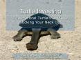 Turtle Investing PowerPoint PPT Presentation