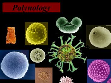 presentation player overlay