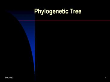 Phylogenetic Tree