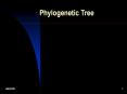 Phylogenetic Tree PowerPoint PPT Presentation