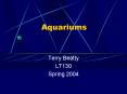 Aquariums PowerPoint PPT Presentation
