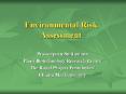 Environmental Risk Assessment PowerPoint PPT Presentation