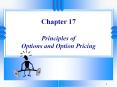 Chapter 17 Principles of Options and Option Pricing PowerPoint PPT Presentation