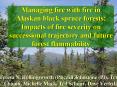 Managing fire with fire in Alaskan black spruce forests: Impacts of fire severity on successional trajectory and future forest flammability PowerPoint PPT Presentation
