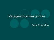 Paragonimus westermani