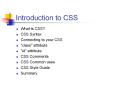 Introduction to CSS PowerPoint PPT Presentation