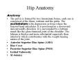 Hip Anatomy PowerPoint PPT Presentation