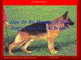 How Do We Measure A Stud Dogs Value To The Breed PowerPoint PPT Presentation