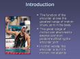The function of the shoulder allows the greatest range of motion of any joint in the body. PowerPoint PPT Presentation