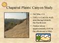Chaparral Plants/ Canyon Study PowerPoint PPT Presentation