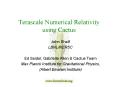 Terascale Numerical Relativity using Cactus PowerPoint PPT Presentation