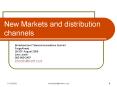 New Markets and distribution channels PowerPoint PPT Presentation