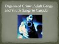 Organized Crime, Adult Gangs and Youth Gangs in Canada PowerPoint PPT Presentation