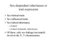 Sexdependent inheritance or trait expression PowerPoint PPT Presentation