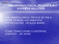 THE CRIMINOLOGICAL PROFILE PowerPoint PPT Presentation