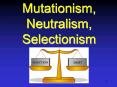 Mutationism, Neutralism, Selectionism PowerPoint PPT Presentation