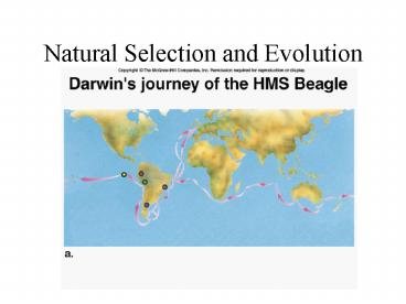 Natural Selection and Evolution presentation | free to view