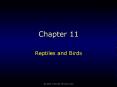 Reptiles and Birds PowerPoint PPT Presentation