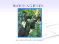 WATCHING BIRDS PowerPoint PPT Presentation