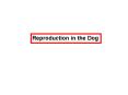 Reproduction in the Dog PowerPoint PPT Presentation