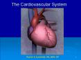 The Cardiovascular System PowerPoint PPT Presentation