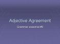 Adjective Agreement PowerPoint PPT Presentation