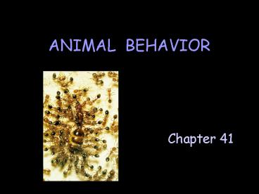 ANIMAL BEHAVIOR