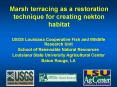 Marsh terracing as a restoration technique for creating nekton habitat PowerPoint PPT Presentation