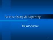 Ad Hoc Query
