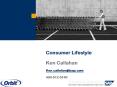 Consumer Lifestyle PowerPoint PPT Presentation