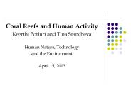 Coral Reefs and Human Activity