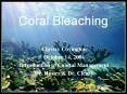 Coral Bleaching PowerPoint PPT Presentation