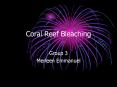 Coral Reef Bleaching PowerPoint PPT Presentation
