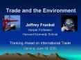 Trade and the Environment PowerPoint PPT Presentation