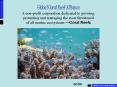 Global Coral Reef Alliance A nonprofit corporation dedicated to growing, protecting and managing the PowerPoint PPT Presentation