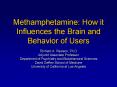 Methamphetamine: How it Influences the Brain and Behavior of Users PowerPoint PPT Presentation