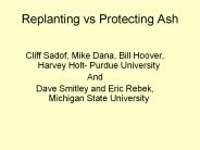 Replanting vs Protecting Ash