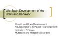 LifeSpan Development of the Brain and Behavior PowerPoint PPT Presentation