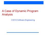 A Case of Dynamic Program Analysis