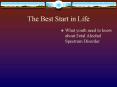 The Best Start in Life PowerPoint PPT Presentation