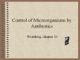 Control%20of%20Microorganisms%20by%20Antibiotics PowerPoint PPT Presentation