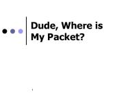 Dude, Where is My Packet?