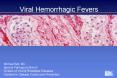 Viral Hemorrhagic Fevers PowerPoint PPT Presentation