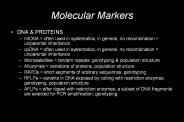 Molecular Markers